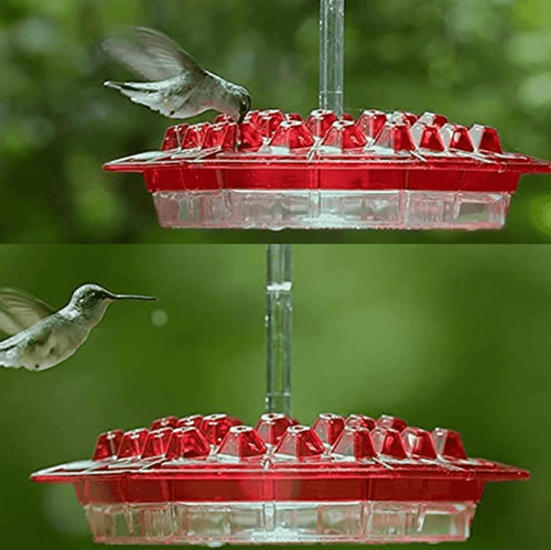 Red ant-proof hummingbird feeder with clear base and red cup array, close-up