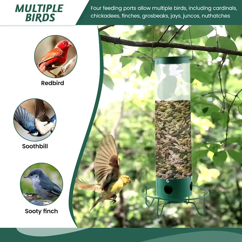 Green bird feeder with clear tube, four feeding ports for small songbirds
