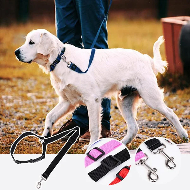 Adjustable dog car safety leash with black strap and metal clips, on a white dog