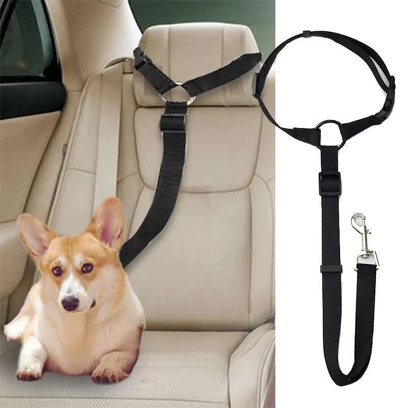 Adjustable dog car safety leash with black webbing seat strap and metal clips