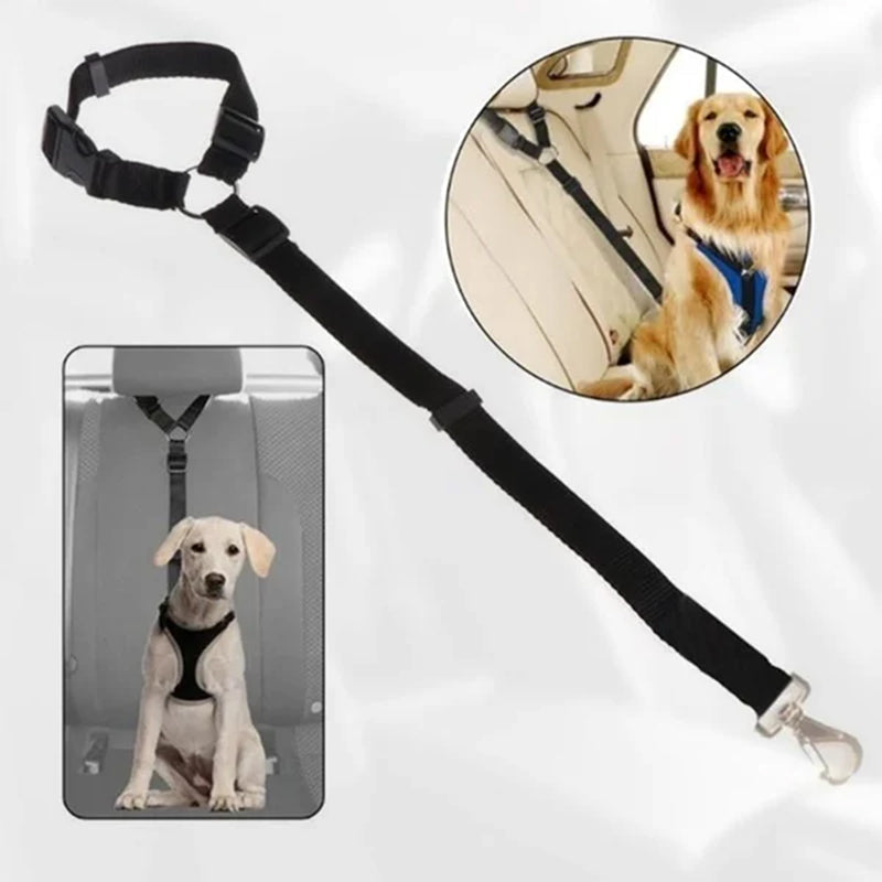 Adjustable dog car safety leash strap with black webbing and metal carabiner clips