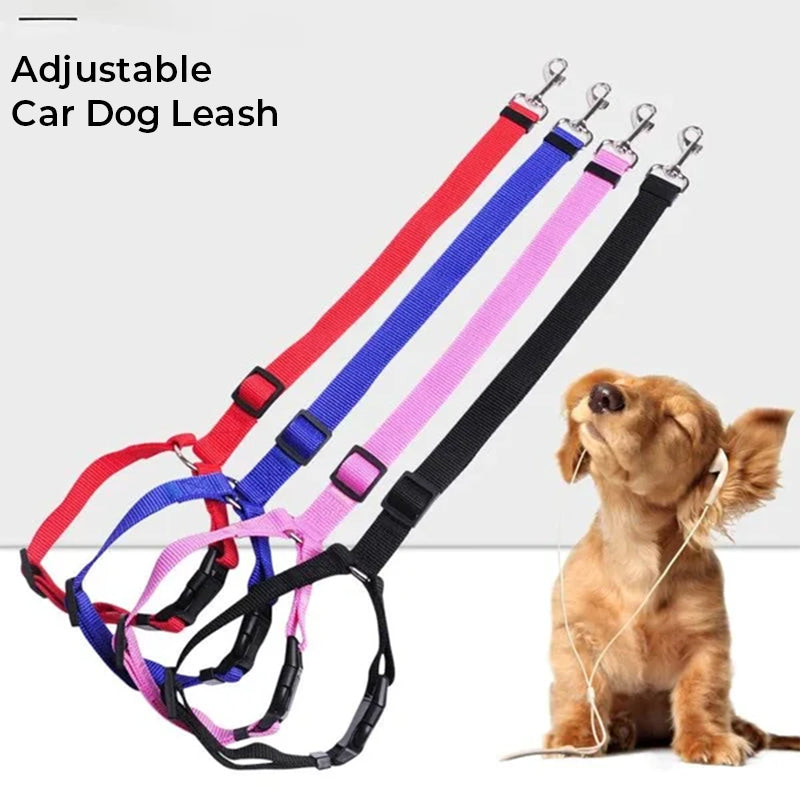 Adjustable dog car safety leashes with red, blue, pink, and black straps and metal clips
