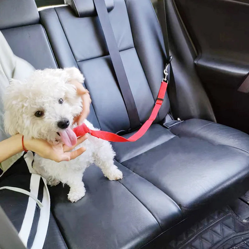 Adjustable dog car safety leash with red strap and black seat anchor, on car seat
