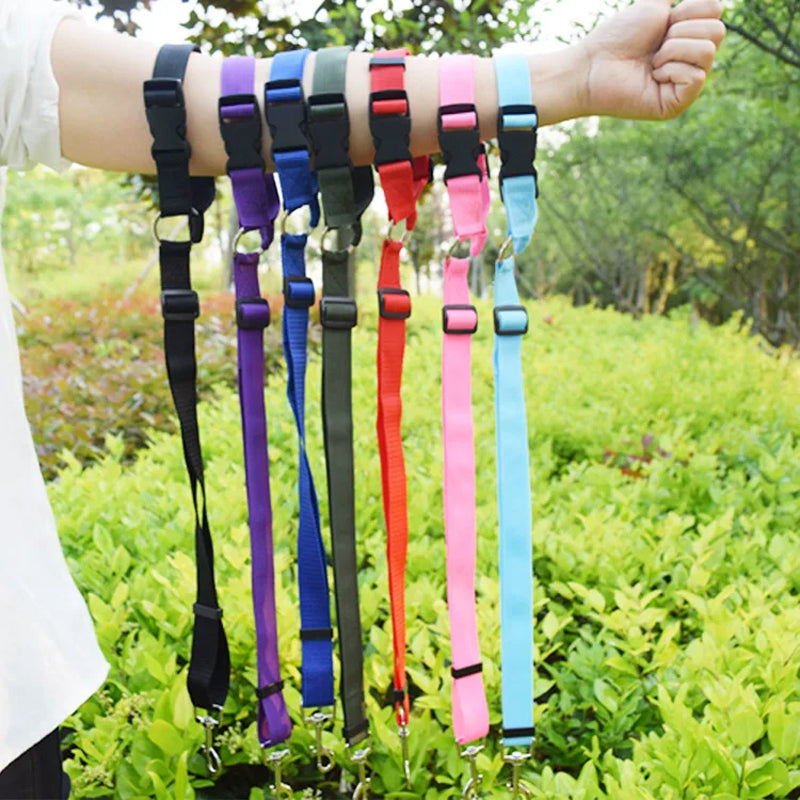 Adjustable dog car safety leashes in multiple colors with black webbing and metal clips