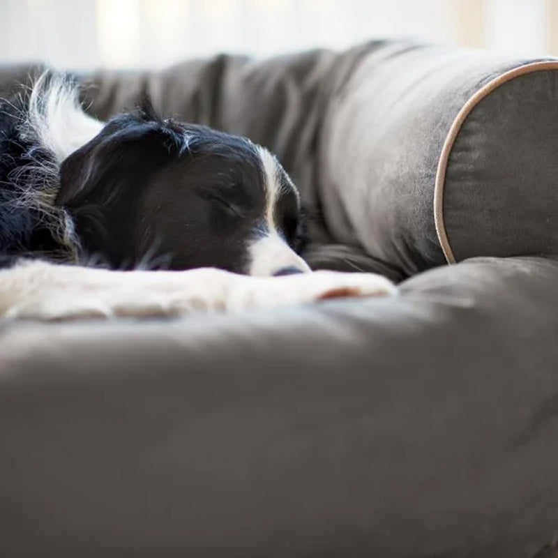 Dark gray bolster dog bed with rounded side edge and cushioned top