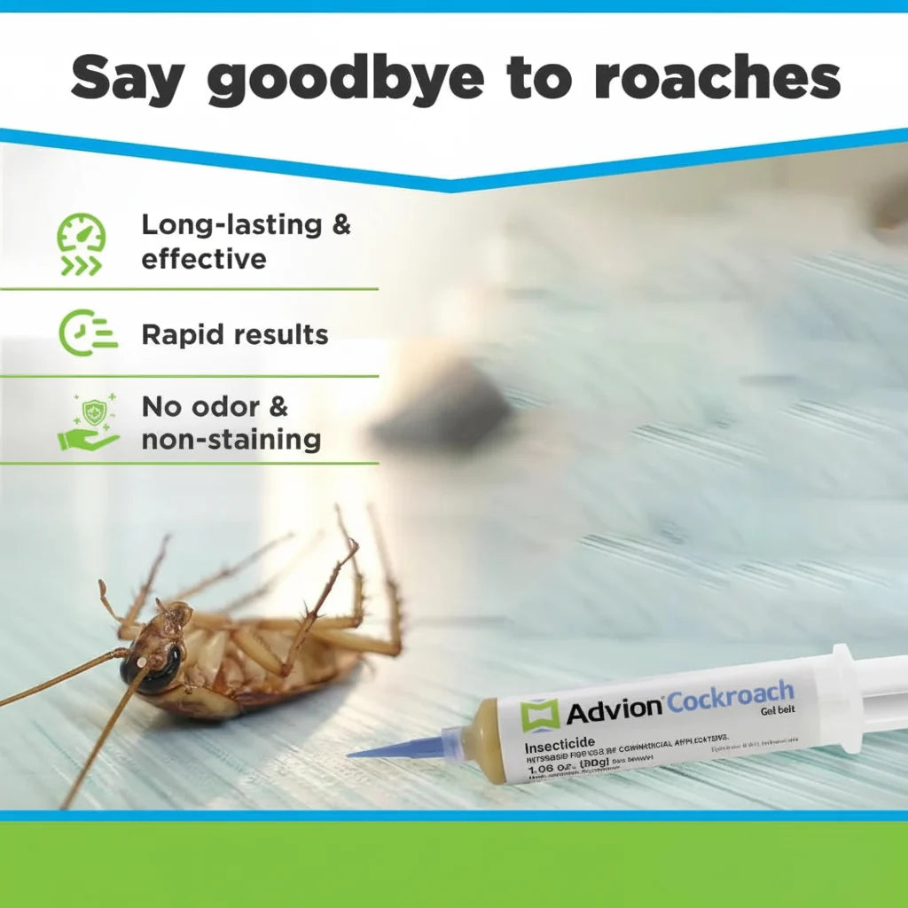 Roach control gel syringe beside a dead cockroach on a plastic sheet.