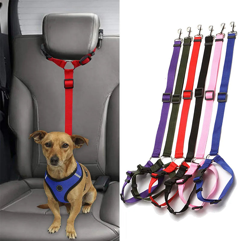 Adjustable dog car safety leashes with red and colored straps and metal clips