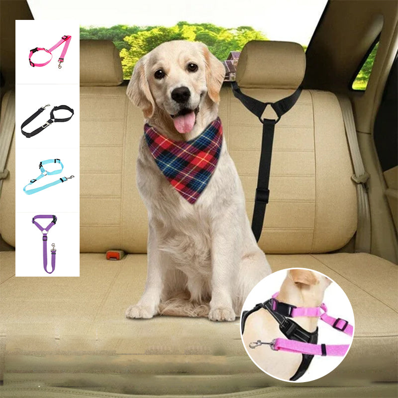 Adjustable dog car safety leash with pink strap and black seat anchor, on light dog