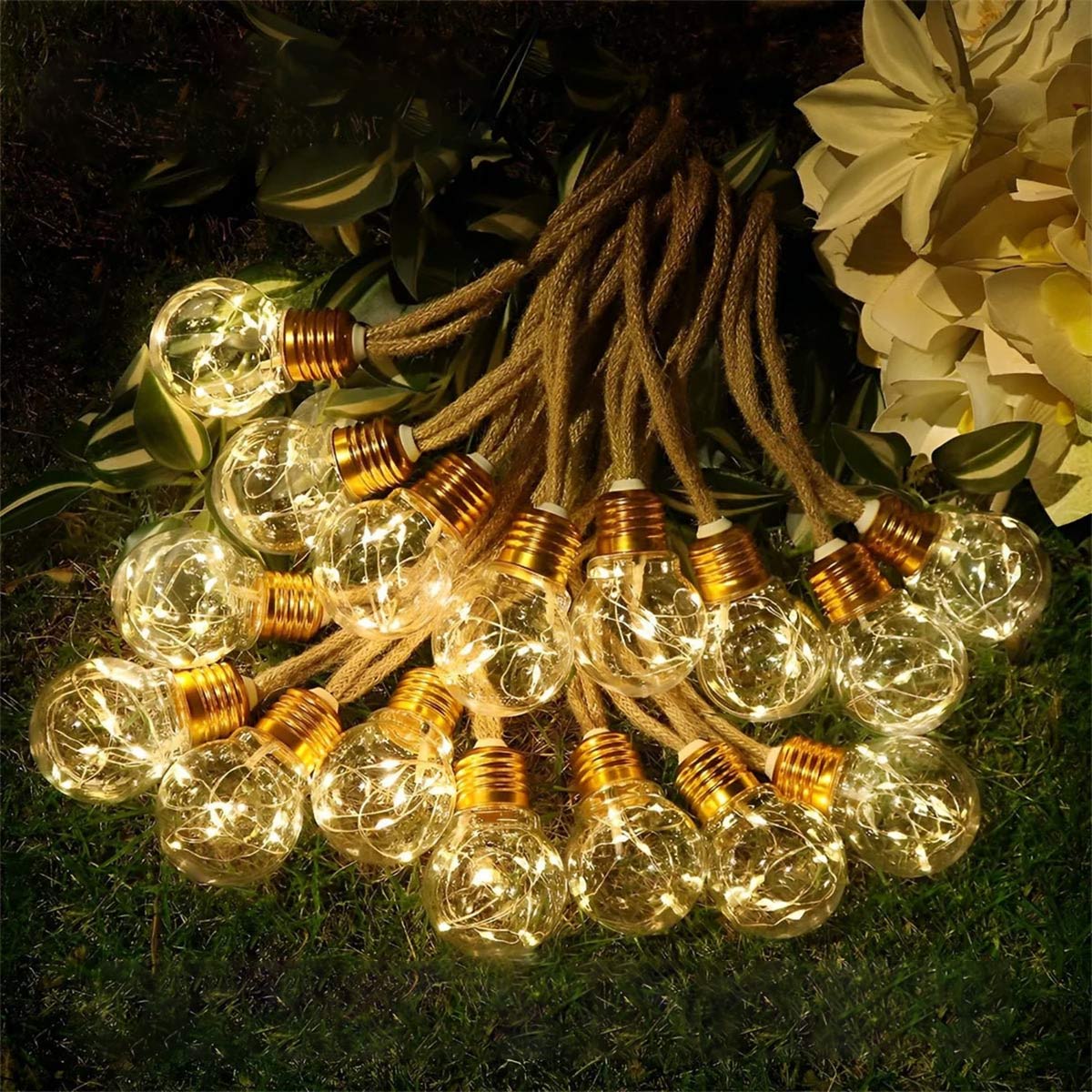 Solar outdoor string lights bundle with clear glass bulbs and gold screw bases