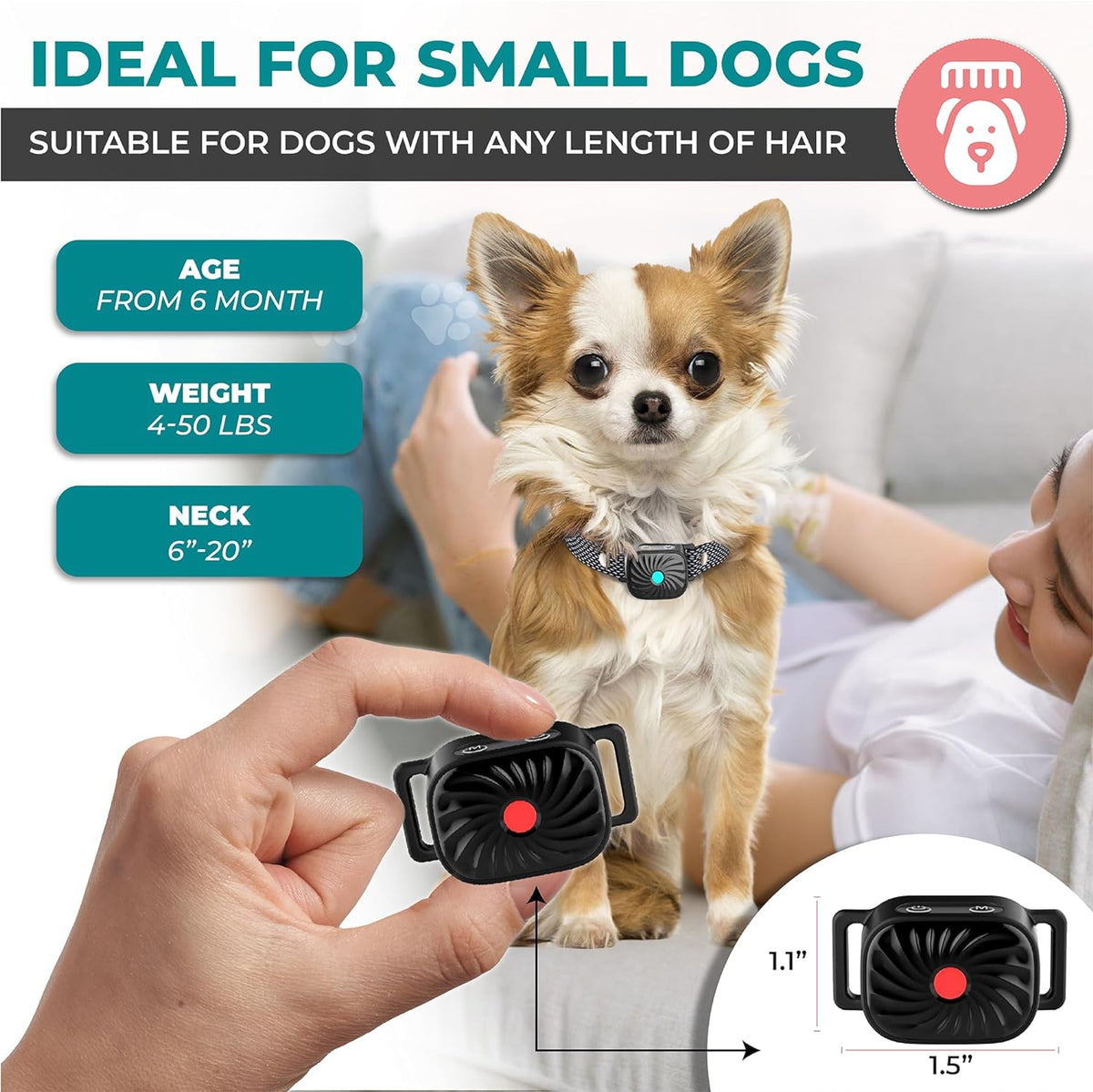 Black bark training collar with control module, shown on a small dog