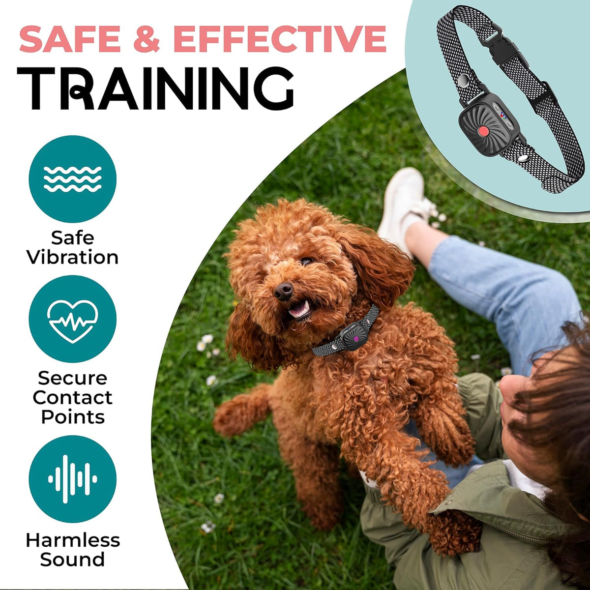 Black vibration and sound bark training collar with mesh strap on a curly dog