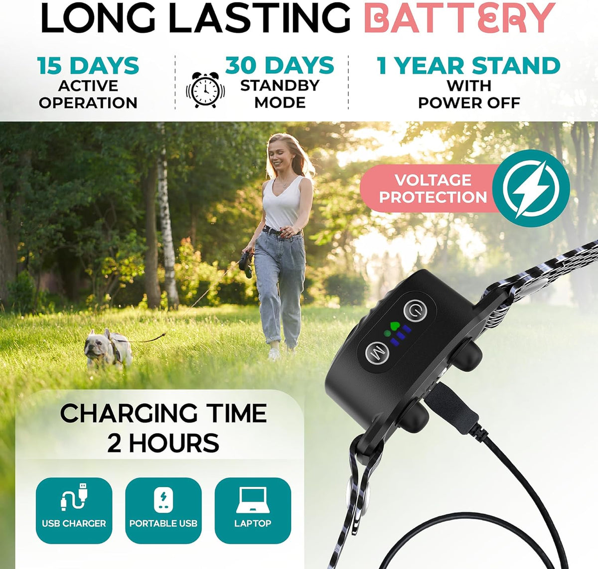 Rechargeable bark training collar with power module and charging cable