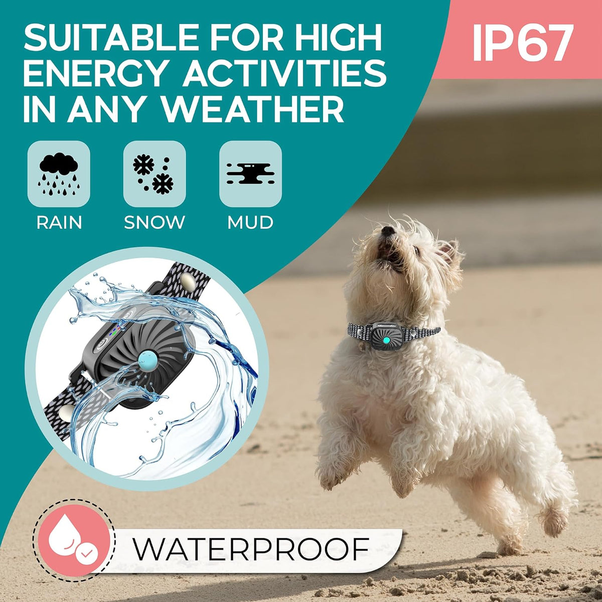 White small dog wearing a black mesh bark training collar with control module