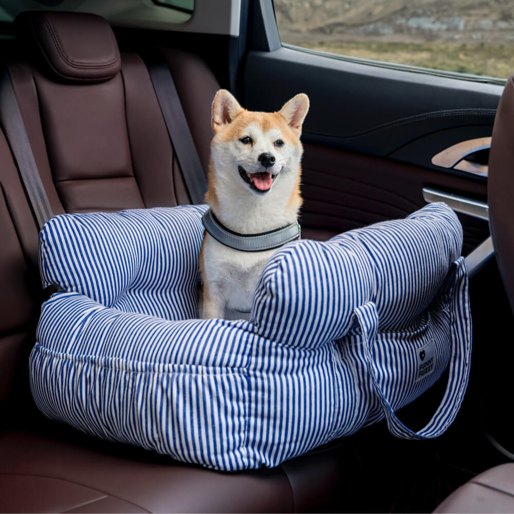 Blue striped padded dog car booster seat with raised bolsters and safety tether