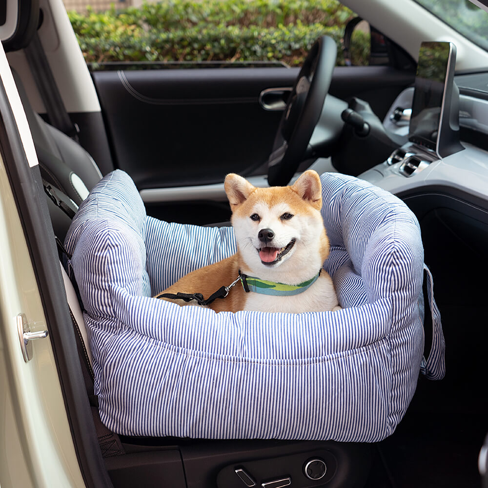 Blue striped dog car booster seat with safety tether and padded headrest bolsters