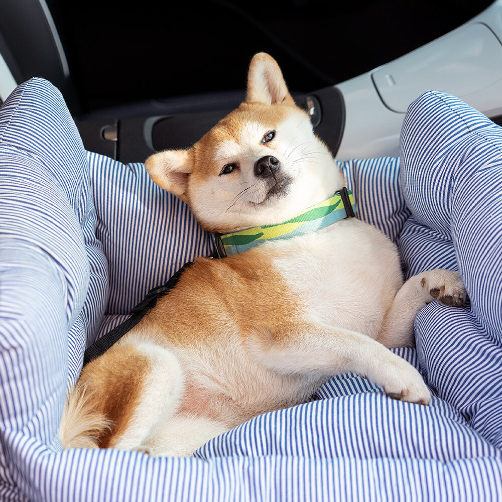 Blue striped padded dog car booster seat with tether straps and side bolster detail
