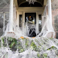 Outdoor spider web decoration draped over an entryway with white web and black spiders