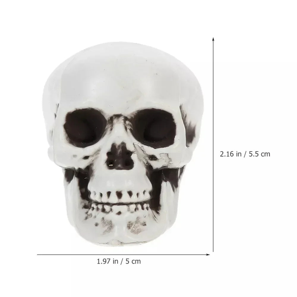 White skeleton skull decoration close-up, approx. 2.16 in tall and 1.97 in wide