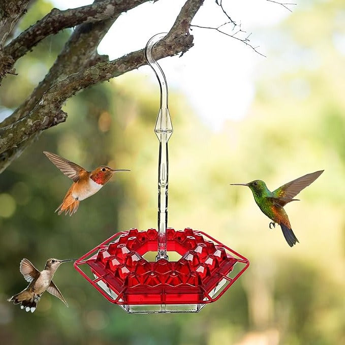 Red ant-proof hanging bird feeder with clear reservoir and hexagonal feeding tray.