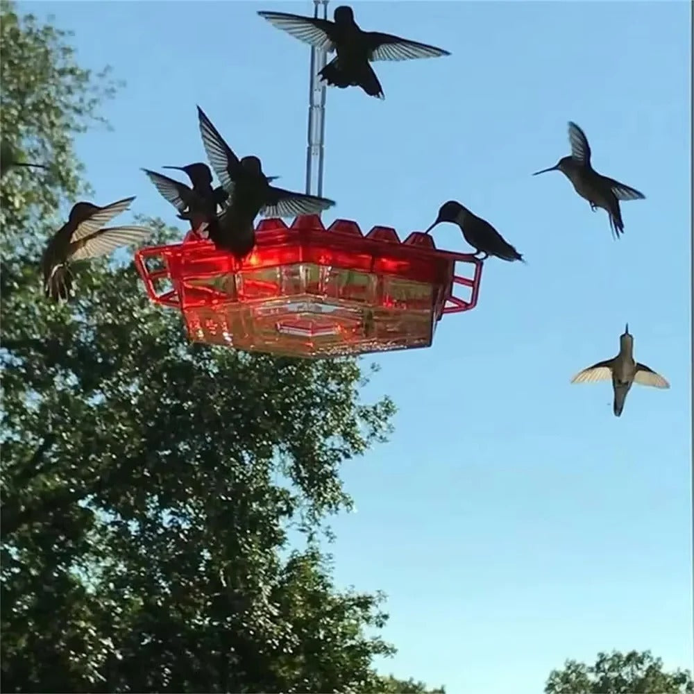 Red ant-proof hanging bird feeder suspended outdoors with birds flying nearby.