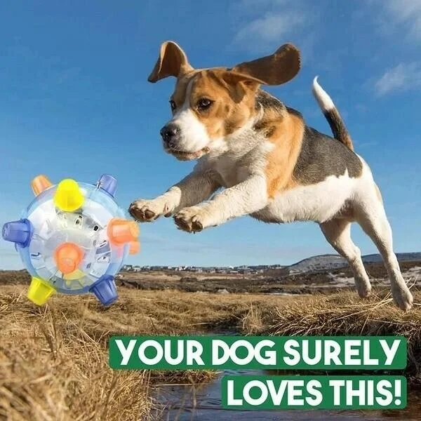 Transparent LED jumping ball with multicolor spikes beside a dog outdoors