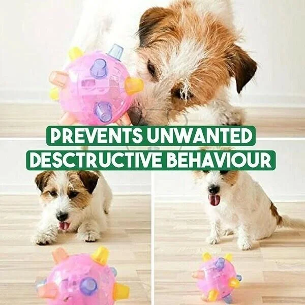Pink LED jumping ball toy with transparent dome and multicolor spikes in front of dogs