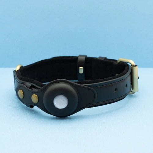 Adjustable Leather Dog Collar