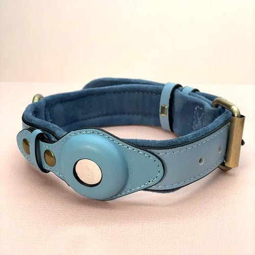 Light blue leather adjustable dog collar with brass buckle and round center patch