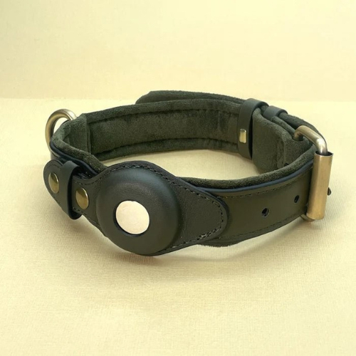 Dark green leather adjustable dog collar with brass buckle and round decorative patch