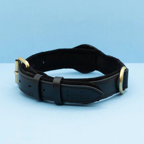 Adjustable Leather Dog Collar