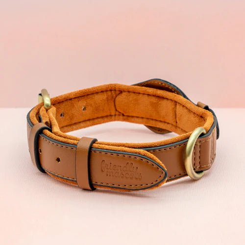 Brown leather dog collar with brass hardware on a light pink background