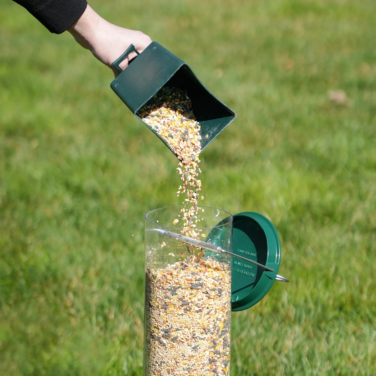 Green squirrel-proof bird feeder being filled with seed through the top