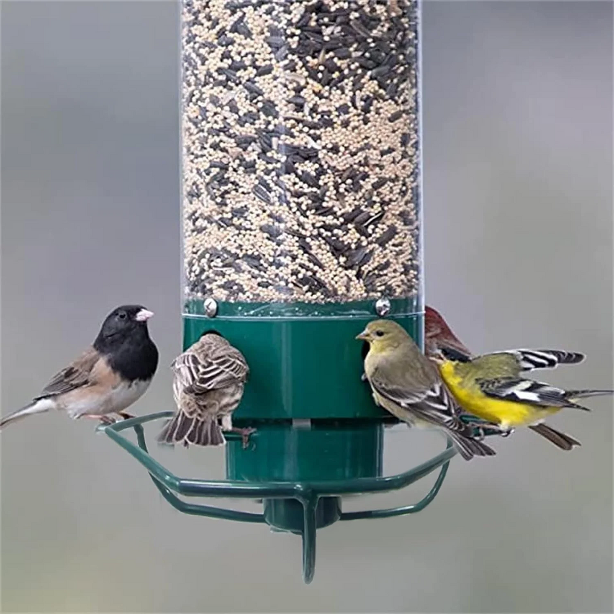 Green bird feeder with four feeding ports and several perching birds