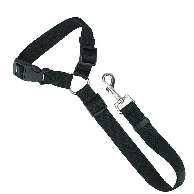 Adjustable dog car safety leash with black webbing and metal carabiner and clip