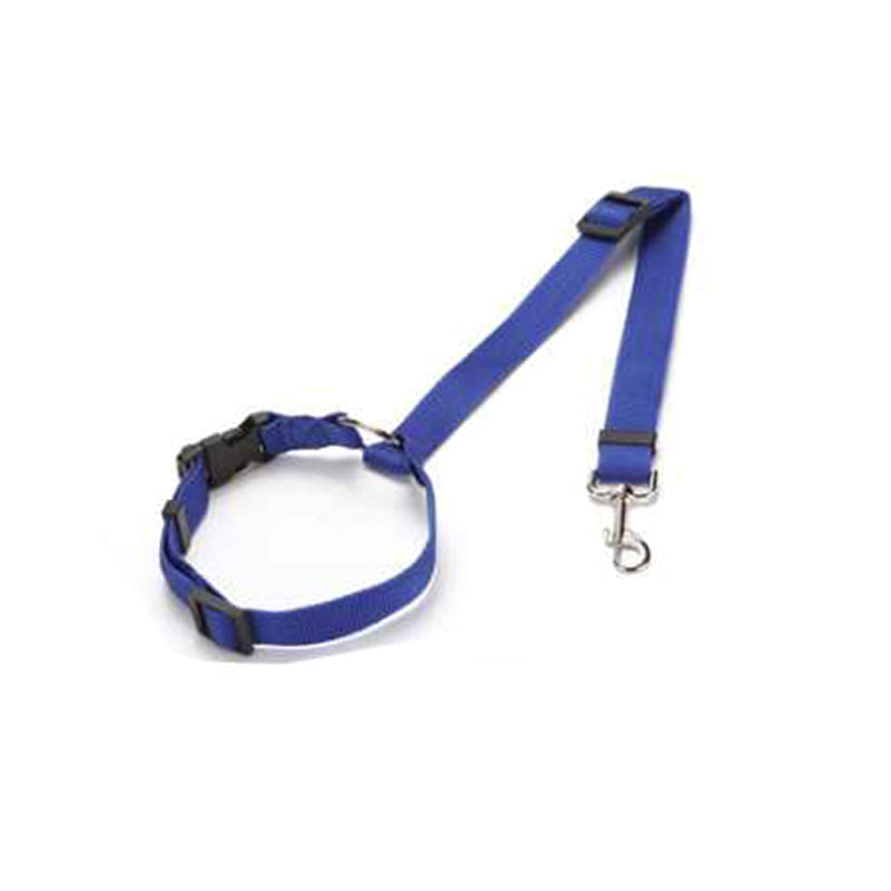 Blue adjustable car safety dog leash with buckle and metal swivel hook attachment