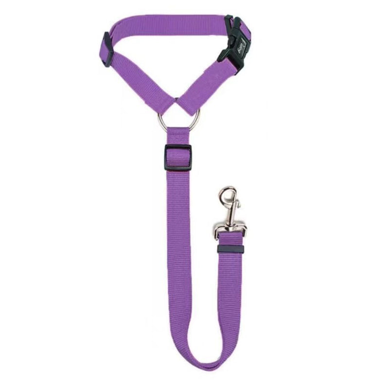 Purple adjustable car safety dog leash with Y-strap design and metal hook clasp
